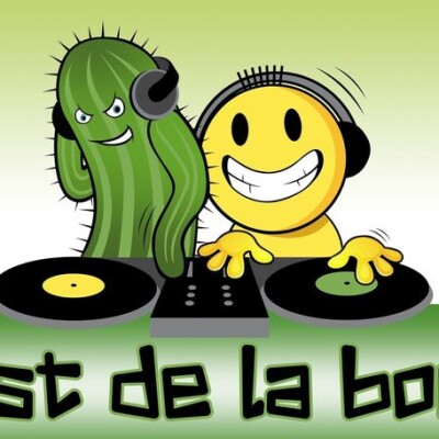 C'est de la bonne cover