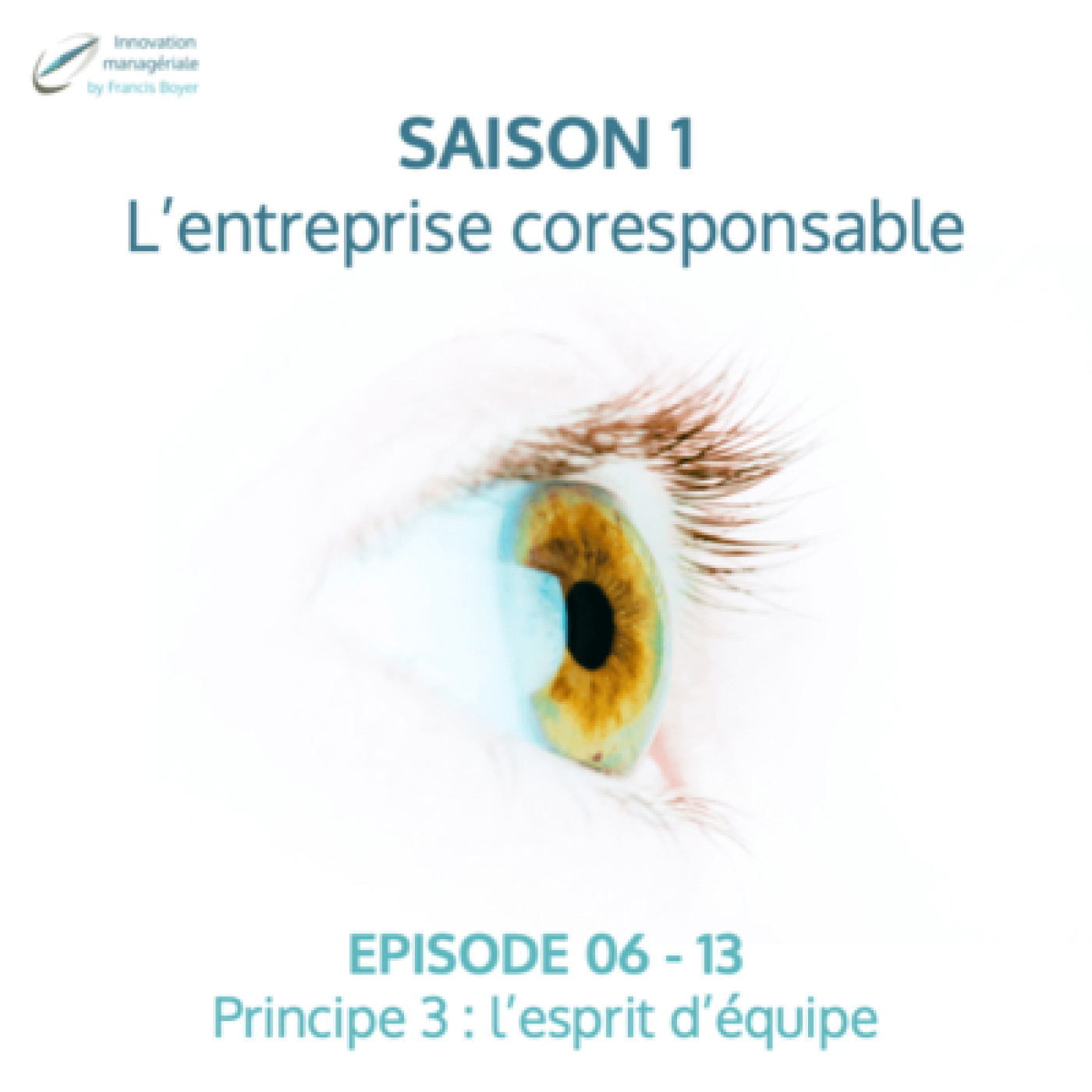 E06 - 13, L'entreprise coresponsable : Principe 3, l'esprit d'équipe