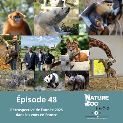 Épisode 48 (Rétrospective) - Retour sur les actualités et nos visites en 2025 cover