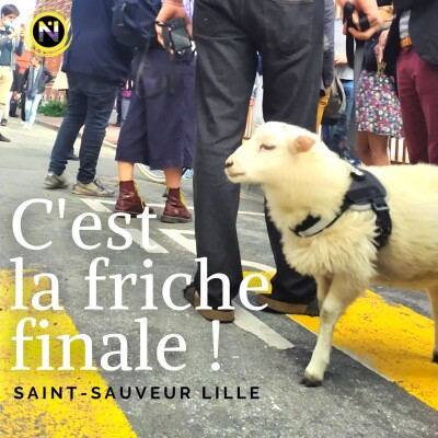 C'est la Friche Finale ! cover