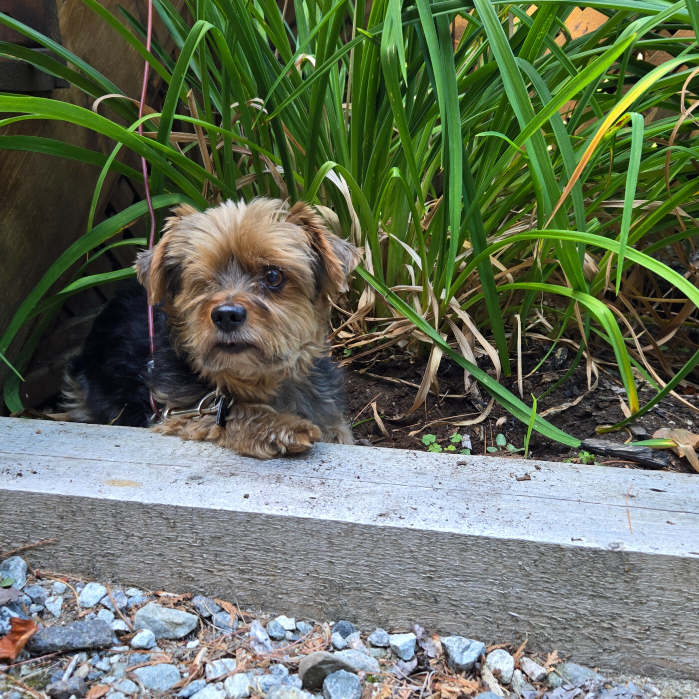 Humain.e.s en processus