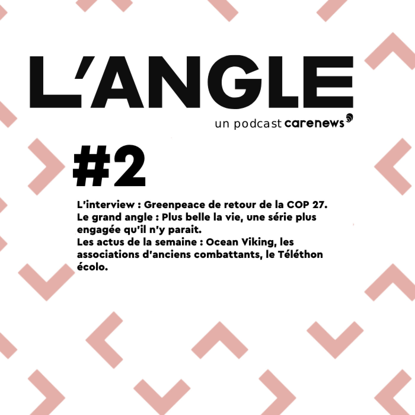 L'Angle : Greenpeace à la COP 27, Plus belle la vie, Ocean Viking L'Angle : Greenpeace à la COP 27, Plus belle la vie, Ocean Viking