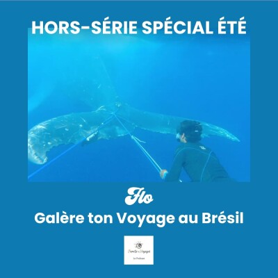 Il plonge en apnée pour libérer une baleine prise dans un filet, au large du Brésil [GTV spécial été 🐋] cover