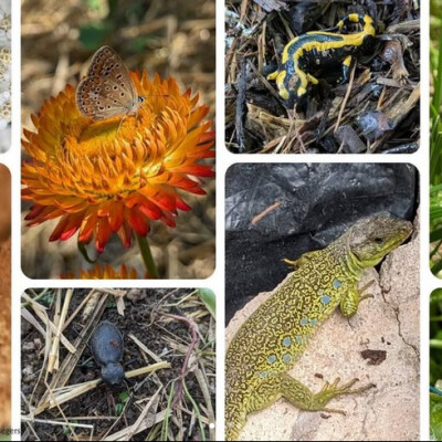 L’accueil de la biodiversité #2 cover