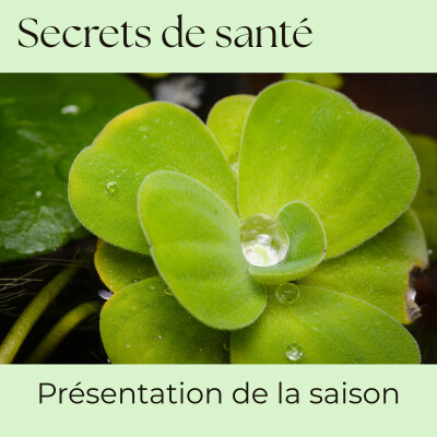 Saison 7 – Secrets de santé : clés d’hygiène de vie pour régénérer le corps cover