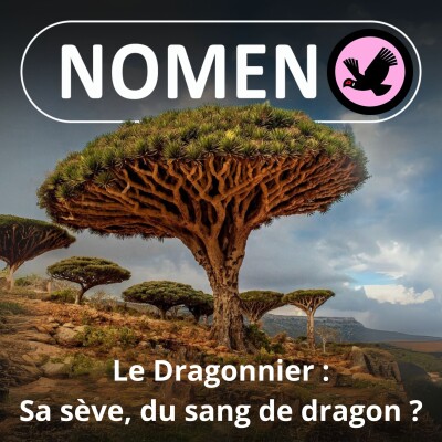 S03E24 Le sang du Dragonnier cover