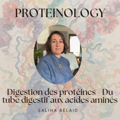 Proteinology # 7 - Digestion des protéines — du tube digestif aux acides aminés cover