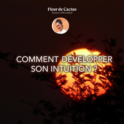 Comment développer son intuition ? [Rediff] cover