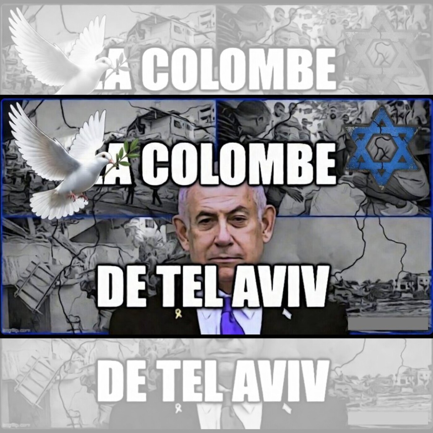 LA COLOMBE DE TEL AVIV