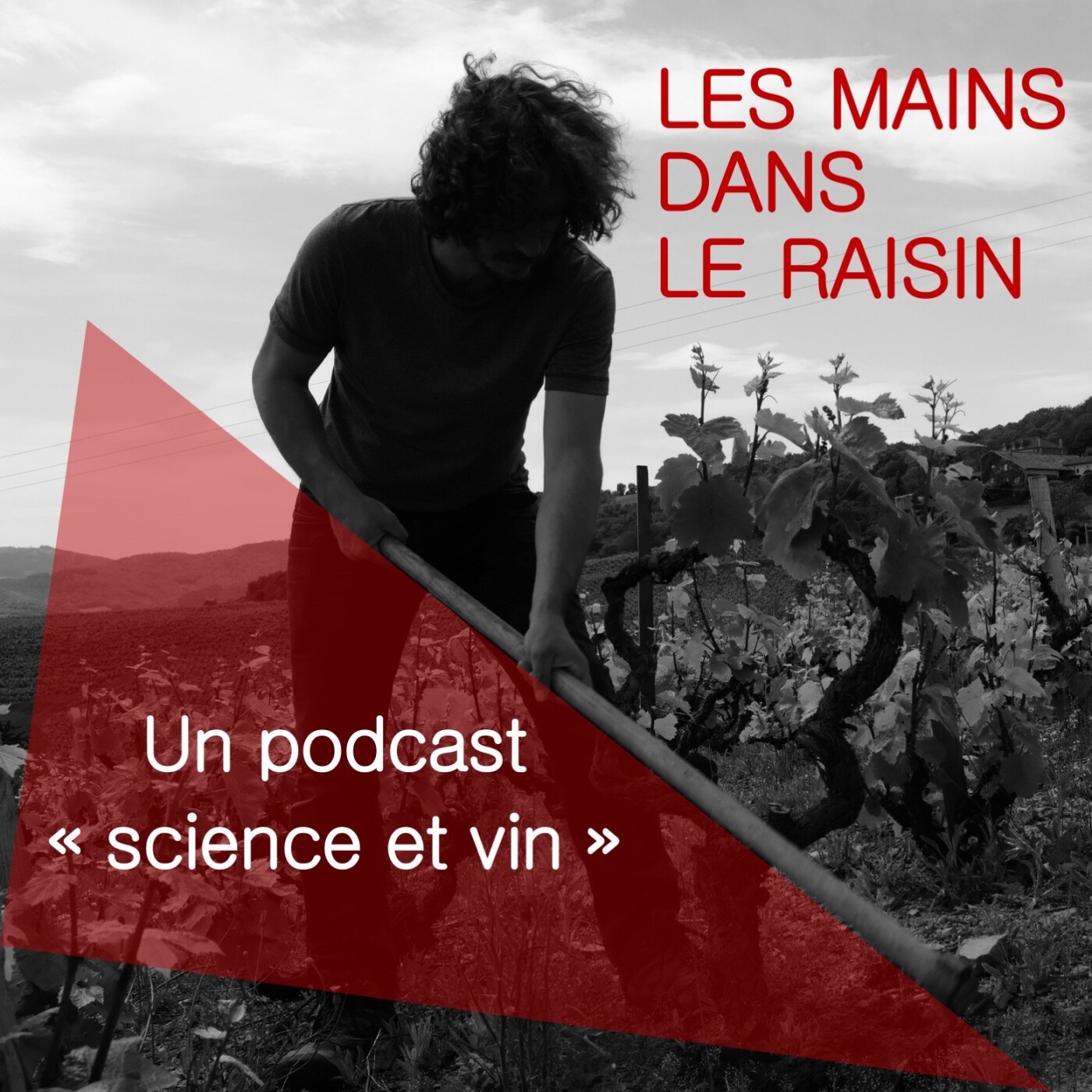 Les mains dans le raisin - un podcast "science et vin"