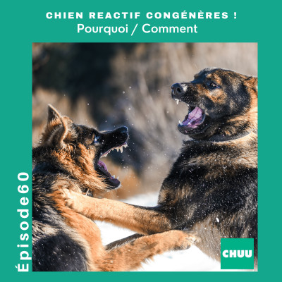 CHIEN REACTIF CONGENERES : Pourquoi / Comment cover