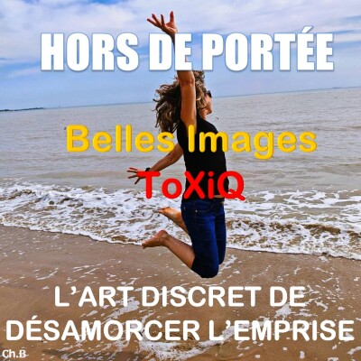 Les Belles Images Toxiques de la soumission cover