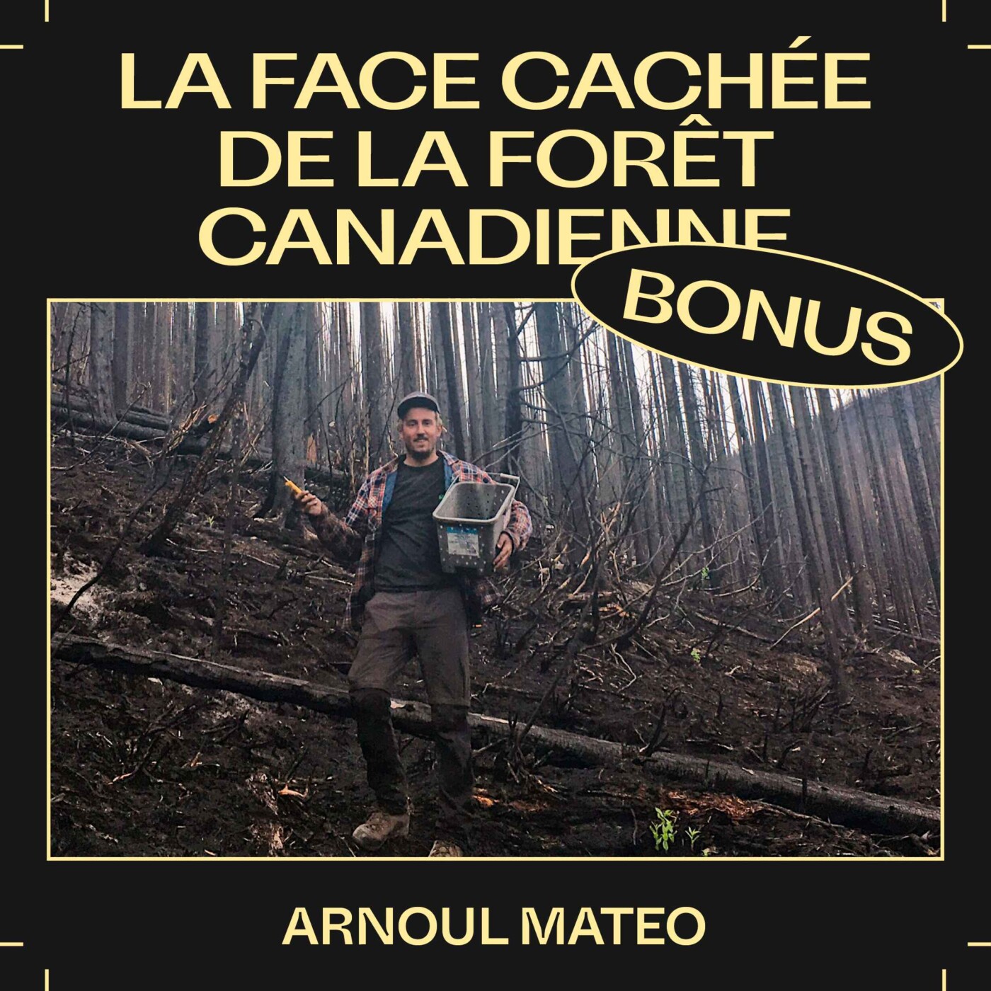 Bonus E46 — La face cachée de la forêt canadienne, avec Arnoul Mateo