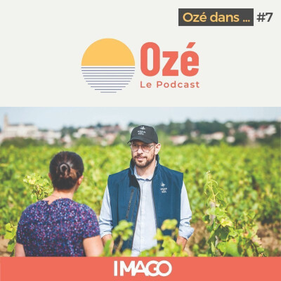 L'avenir du transport maritime est-il à voile ? - Stefan Gallard cover