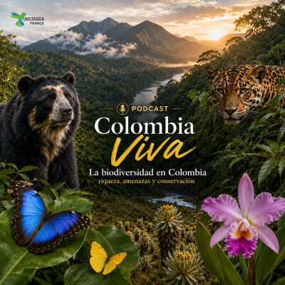 Colombia Viva – Episodio 3: Las cifras de la biodiversidad en Colombia cover