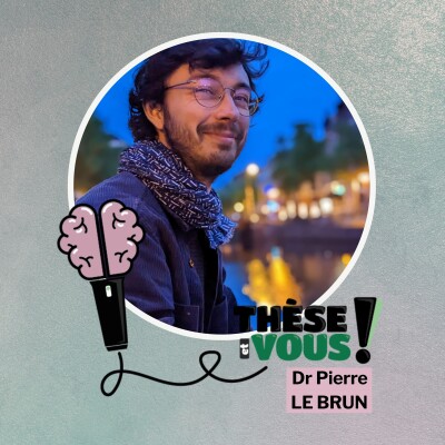 TEV70 - GÉOGRAPHIE - Promoteurs immobiliers : les grands méchants de l'histoire ? cover