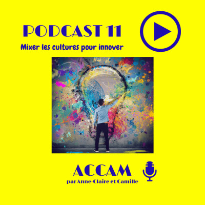 #11 Stéphane Tihal - Mixer les cultures pour innover cover