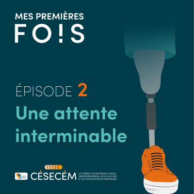 Une attente interminable - Episode 2 cover