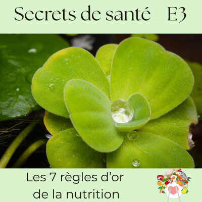 7 règles d’or de la nutrition : les bases d’une alimentation saine et vitalisante - S7E3 cover