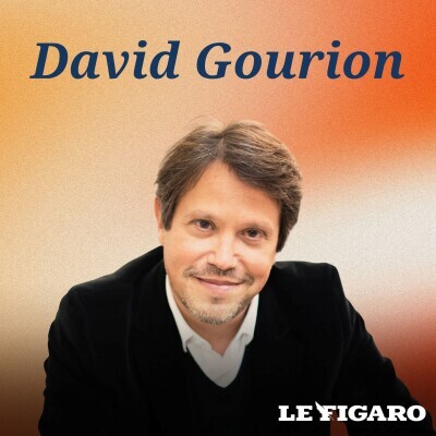 «La solitude tue» : les remèdes du psychiatre David Gourion cover