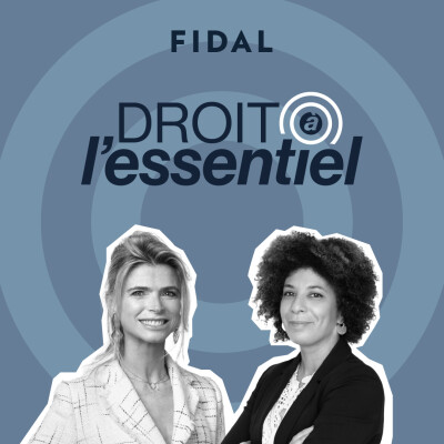 DROIT À L'ESSENTIEL - épisode 3 - International : Douanes et commerce international cover