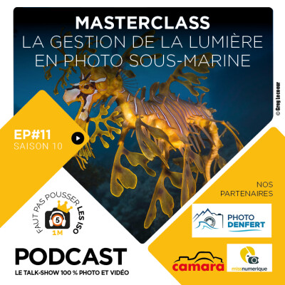 S1011 - MASTERCLASS : LA GESTION DE LA LUMIÈRE EN PHOTO SOUS-MARINE cover