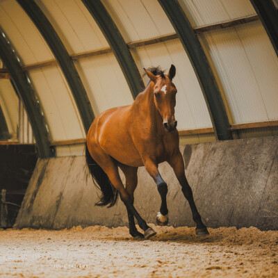 🐎 • Une bonne chambrière - les aides extérieures cover