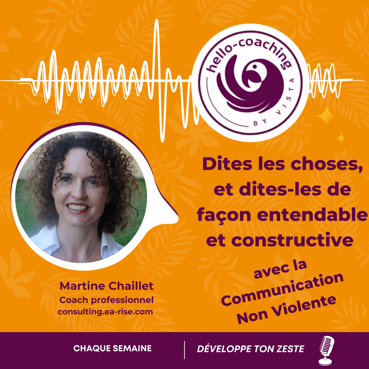 Dites les choses et dites-les de façon entendable et constructive avec la Communication Non Violente episode artwork