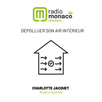 Comment purifier l'air intérieur en hiver ? cover