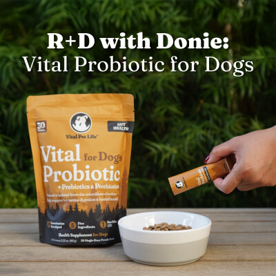 R+D with Donie: Vital Probiotic for Dogs cover