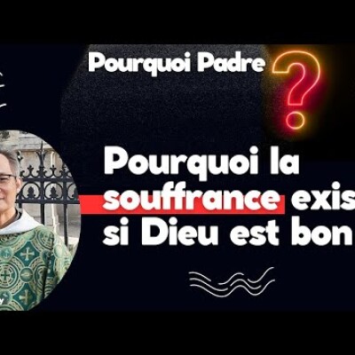 Les épreuves de la vie : Pourquoi la souffrance existe si Dieu est bon ? cover