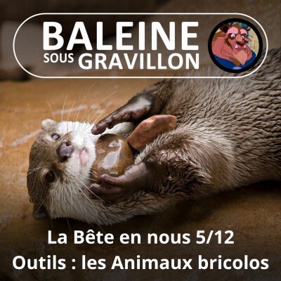 S03E72 La Bête en nous 5/12 : Outils, les animaux bricolos (Jessica Serra) cover
