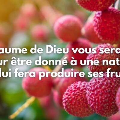 Parole et Évangile du jour | Dimanche 8 octobre • Seigneur, fais nous porter du fruit ! cover