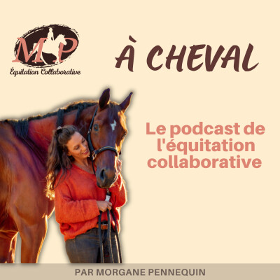 137. [Interview] Et si l’énergétique n’était pas un truc de perchés ? avec Raphaëlle Auclaire cover