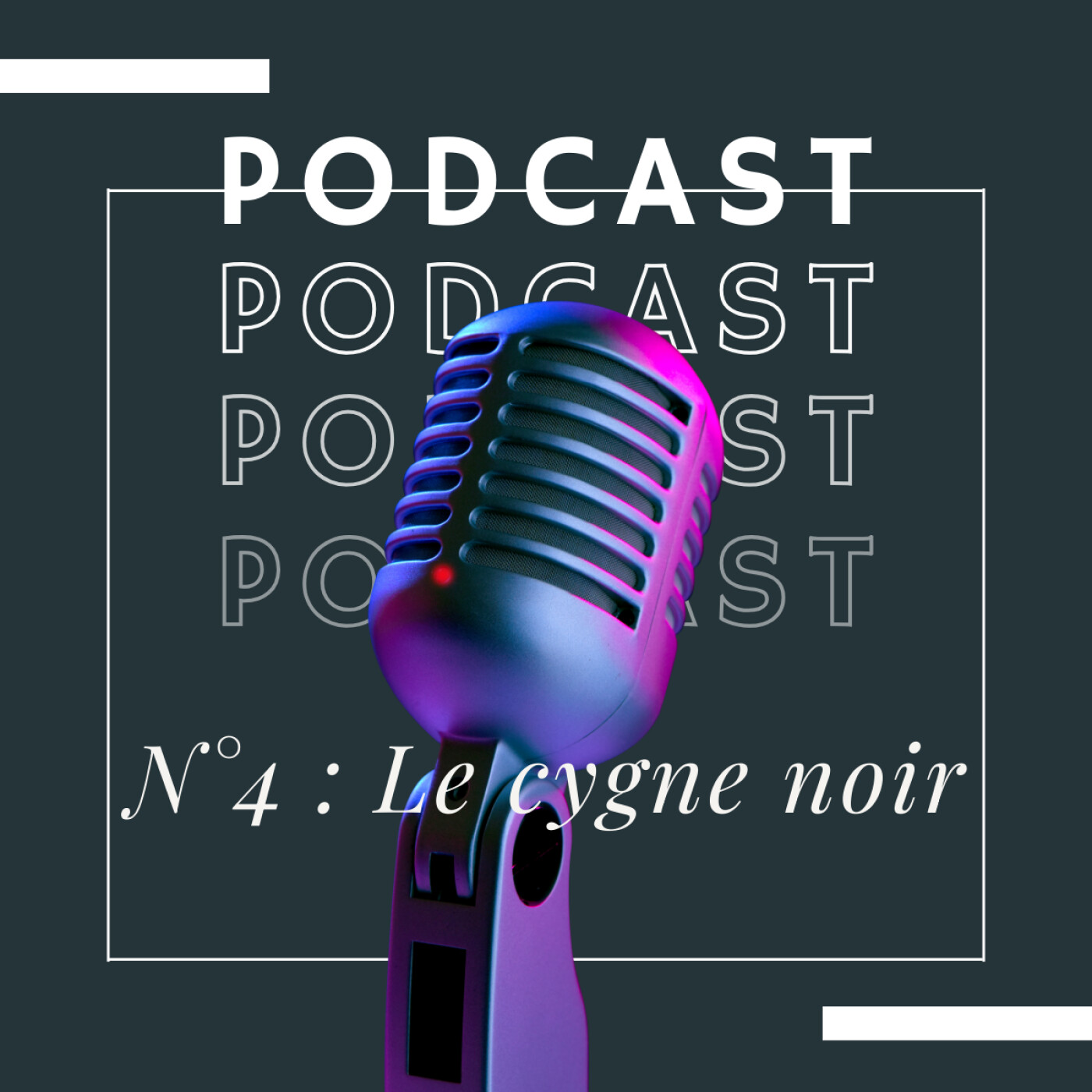 🤯 L'oiseau qui n'était pas censé exister. 🤯 L'oiseau qui n'était pas censé exister.