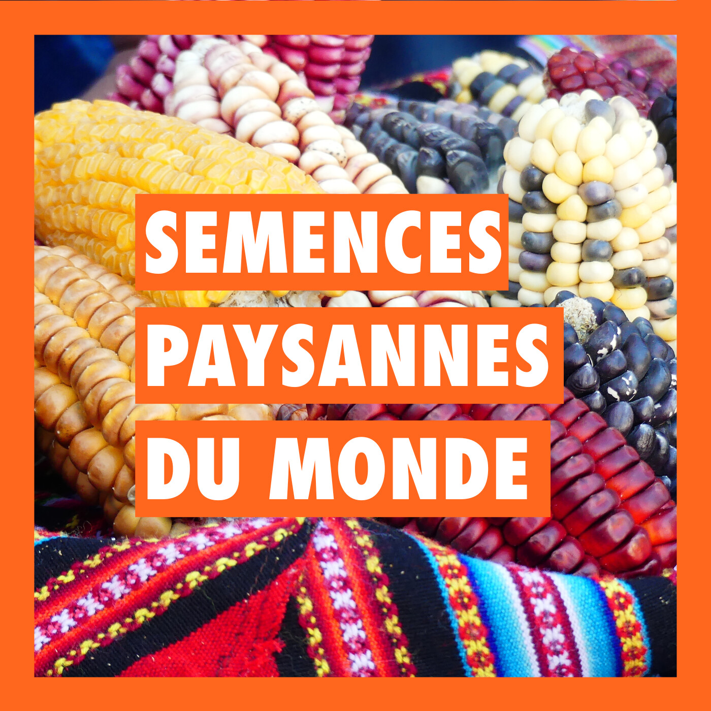 [SERIE] Semences paysannes du monde – Intro