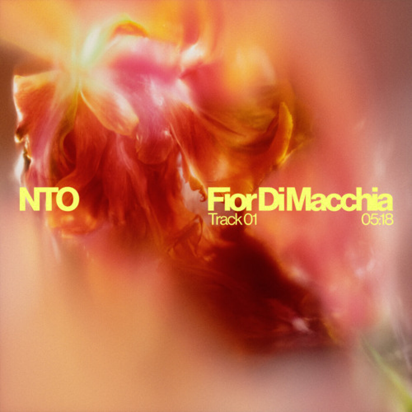 NTO SIGNE SON RETOUR AVEC LE SINGLE FIOR DI MACCHIA episode artwork