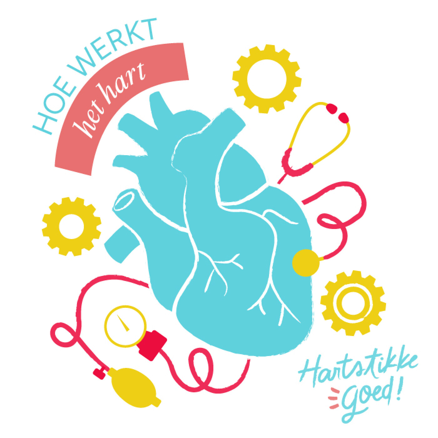Hoe werkt mijn hart?