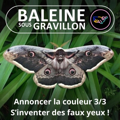 S07E168 Annoncer SA couleur 3/3 : Quand et pourquoi le Vivant s'est emparé des couleurs ? cover