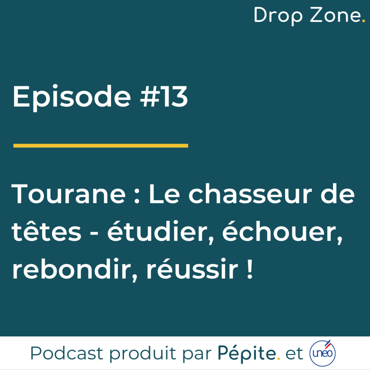 Drop Zone [Pépite. x Unéo]