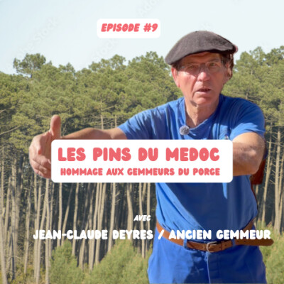 #9 - Les pins du Medoc: hommage aux gemmeurs du Porge, avec Jean-Claude Deyres cover