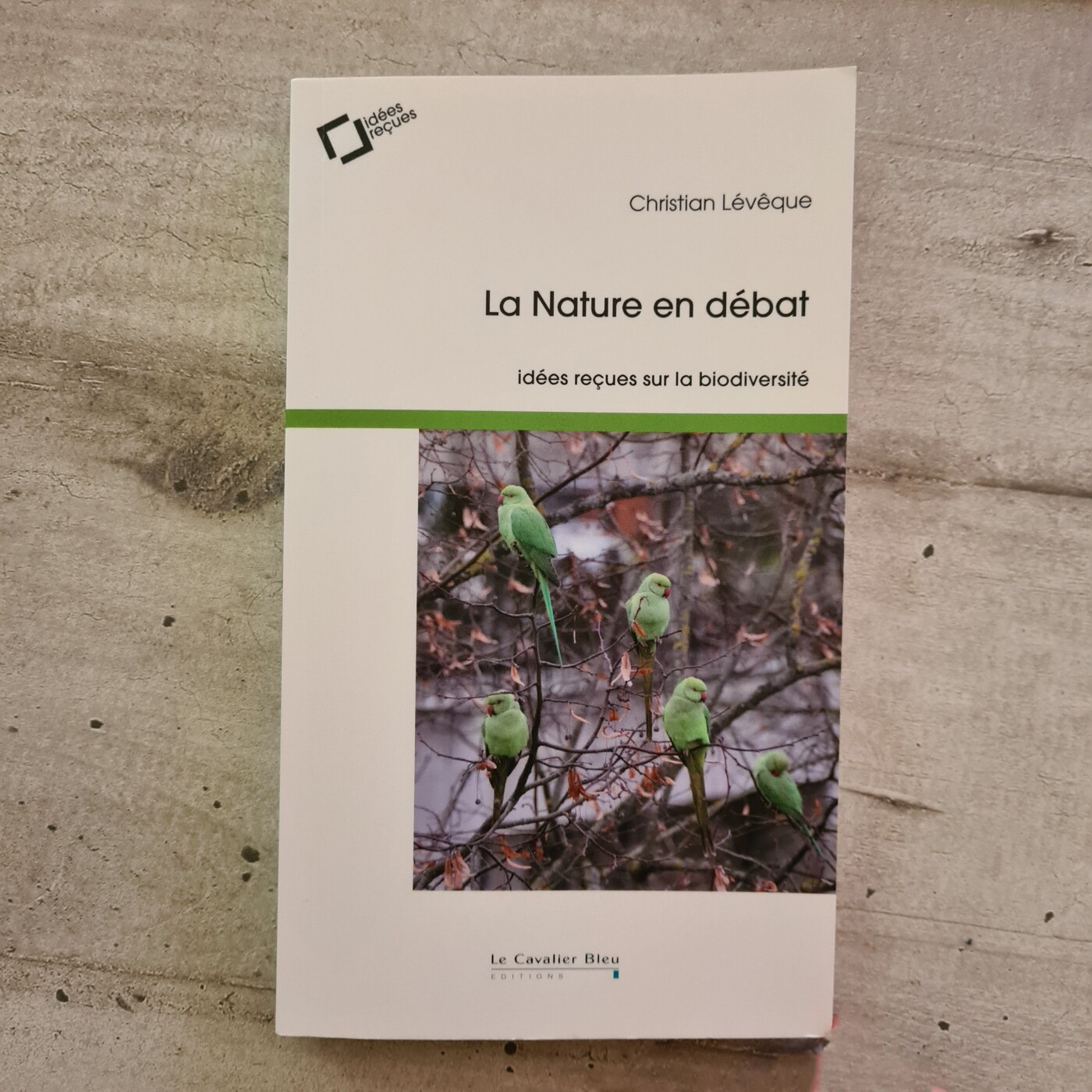 🌱 Génération Éco