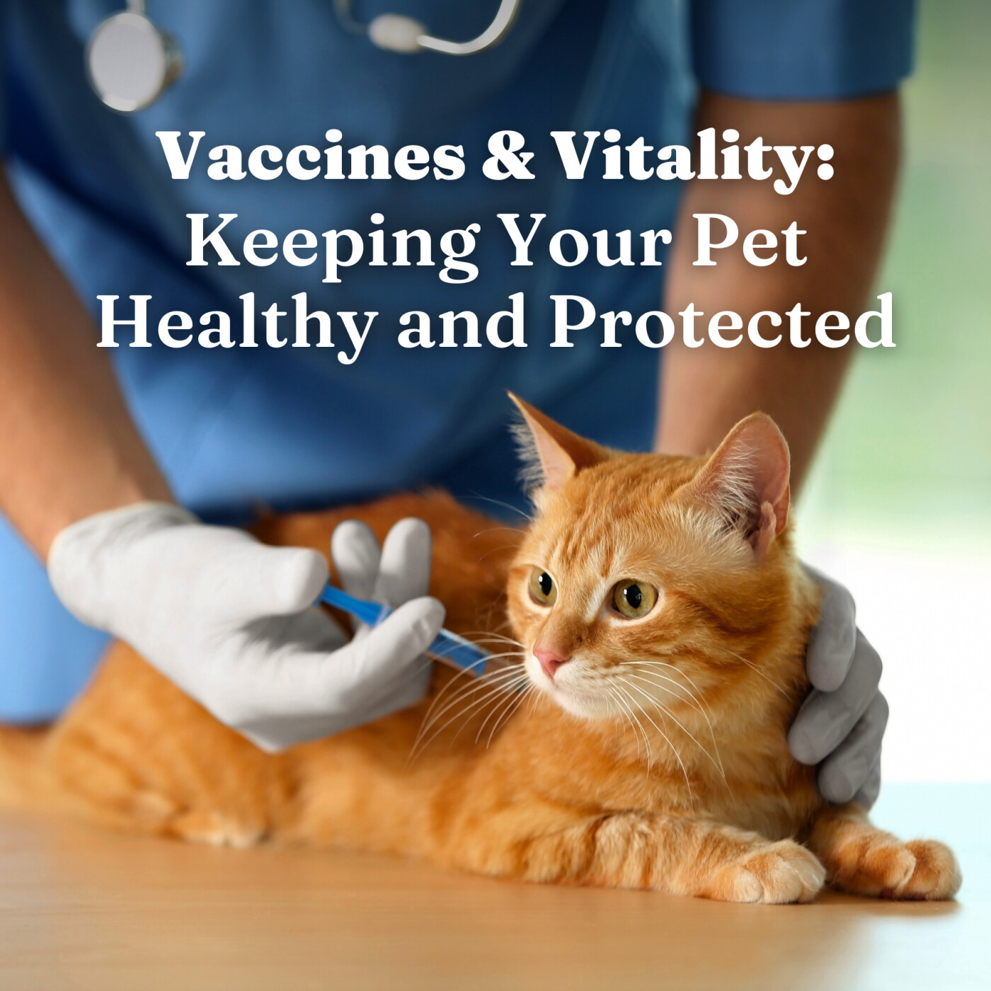Vaccines & Vitality: Keeping Your Pet Healthy and Protected episode artwork