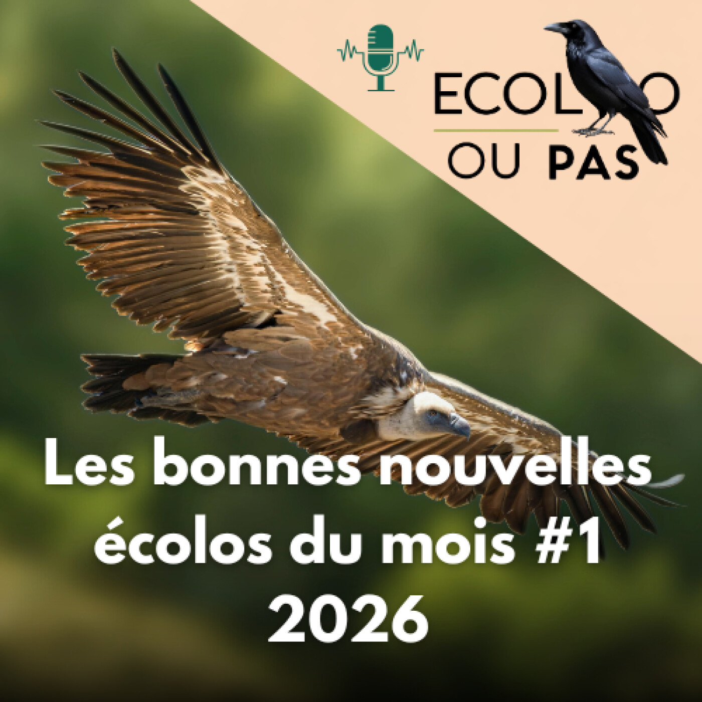 Bonnes nouvelles écologiques – Janvier & Février 2026 : PFAS, viande, biodiversité, transport