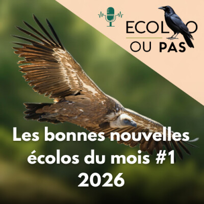 Bonnes nouvelles écologiques – Janvier & Février 2026 : PFAS, viande, biodiversité, transport cover