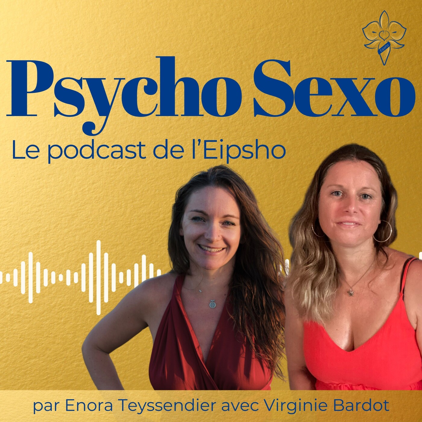 Psycho Sexo - clefs et outils pour accompagner la sexualité et lever les tabous