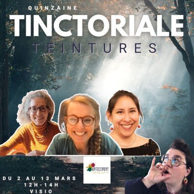 QAT5J6 Les enseignements de la teinture végétale de l'époque à l'usage actuel cover