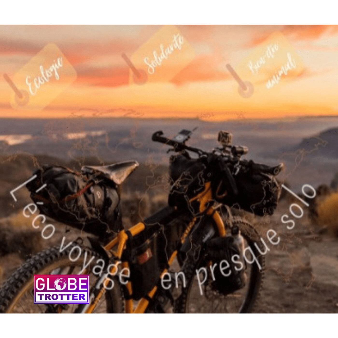 Abby part faire le tour du monde en vélo avec ses deux chiens - 26 01 2022 - StereoChic Radio-Expat