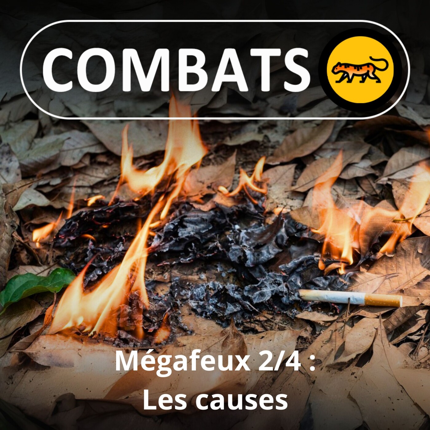 S01E43 Mégafeux 2/4 : Les causes (Sébastien Lahaye, pompier et scientifique)