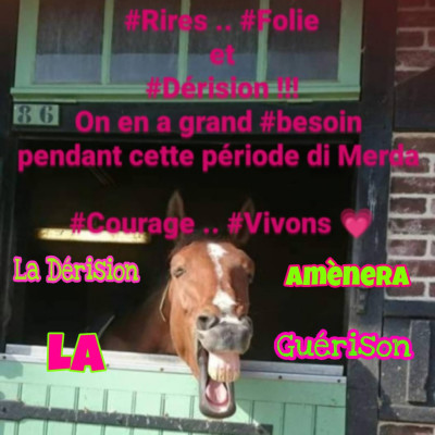 Symptômes & Témoignages cover